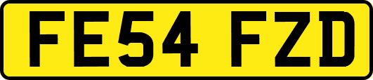FE54FZD