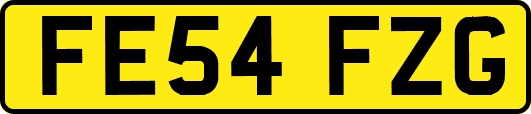FE54FZG