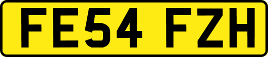 FE54FZH