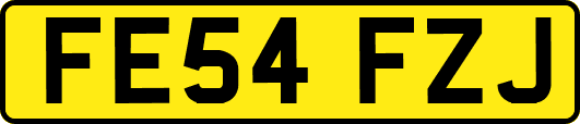 FE54FZJ