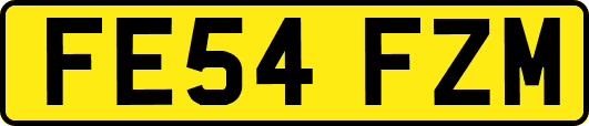 FE54FZM