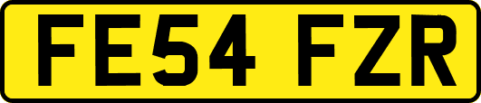 FE54FZR