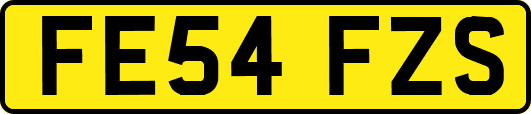 FE54FZS