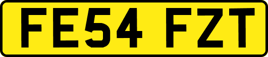 FE54FZT