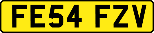 FE54FZV