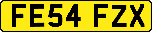 FE54FZX