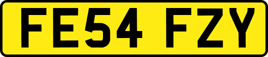 FE54FZY