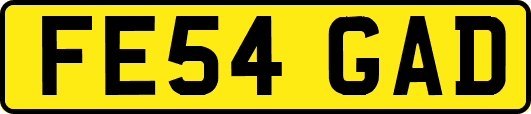 FE54GAD