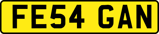 FE54GAN