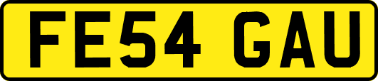 FE54GAU