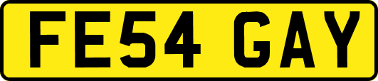 FE54GAY