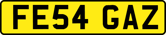 FE54GAZ