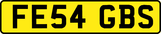 FE54GBS