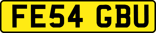 FE54GBU