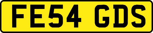 FE54GDS