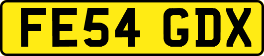 FE54GDX