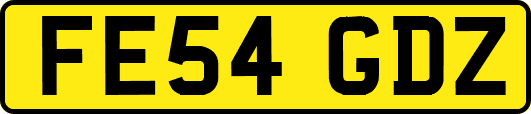 FE54GDZ
