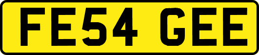 FE54GEE