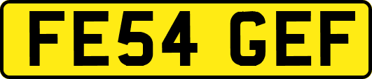 FE54GEF