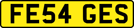 FE54GES