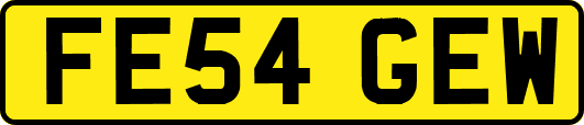 FE54GEW