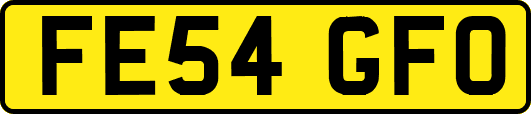 FE54GFO