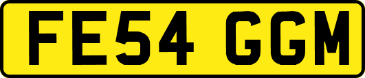 FE54GGM