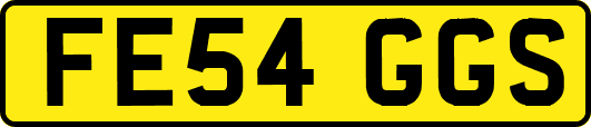 FE54GGS