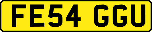 FE54GGU