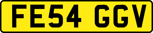 FE54GGV