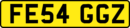 FE54GGZ