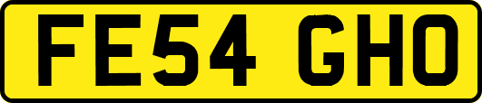 FE54GHO