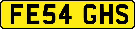 FE54GHS