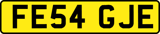 FE54GJE