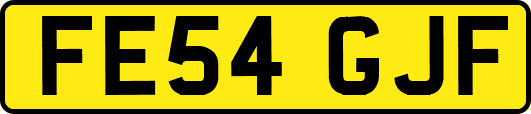 FE54GJF
