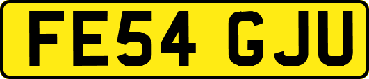 FE54GJU