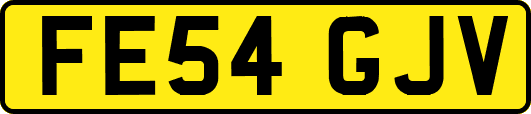 FE54GJV