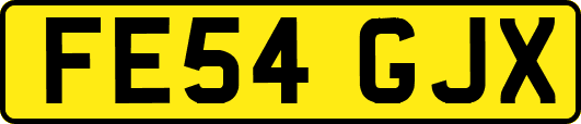 FE54GJX