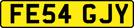 FE54GJY
