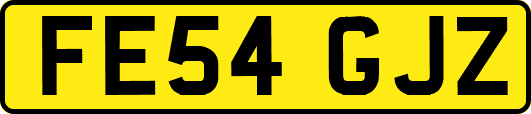 FE54GJZ
