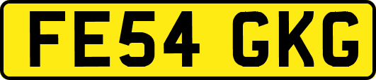 FE54GKG