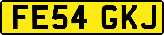 FE54GKJ