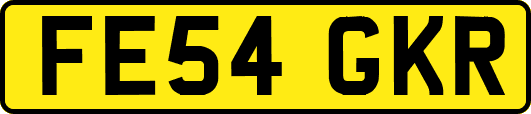 FE54GKR