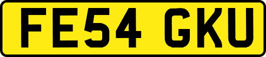 FE54GKU