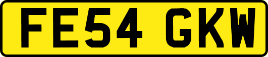 FE54GKW