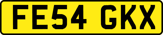 FE54GKX