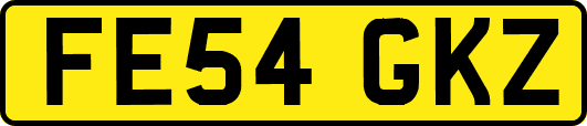 FE54GKZ