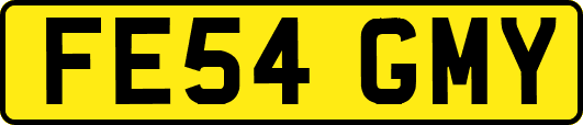 FE54GMY