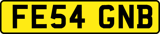 FE54GNB