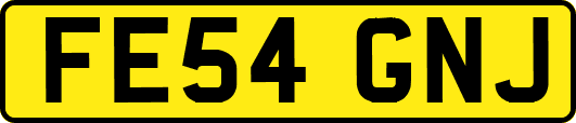 FE54GNJ